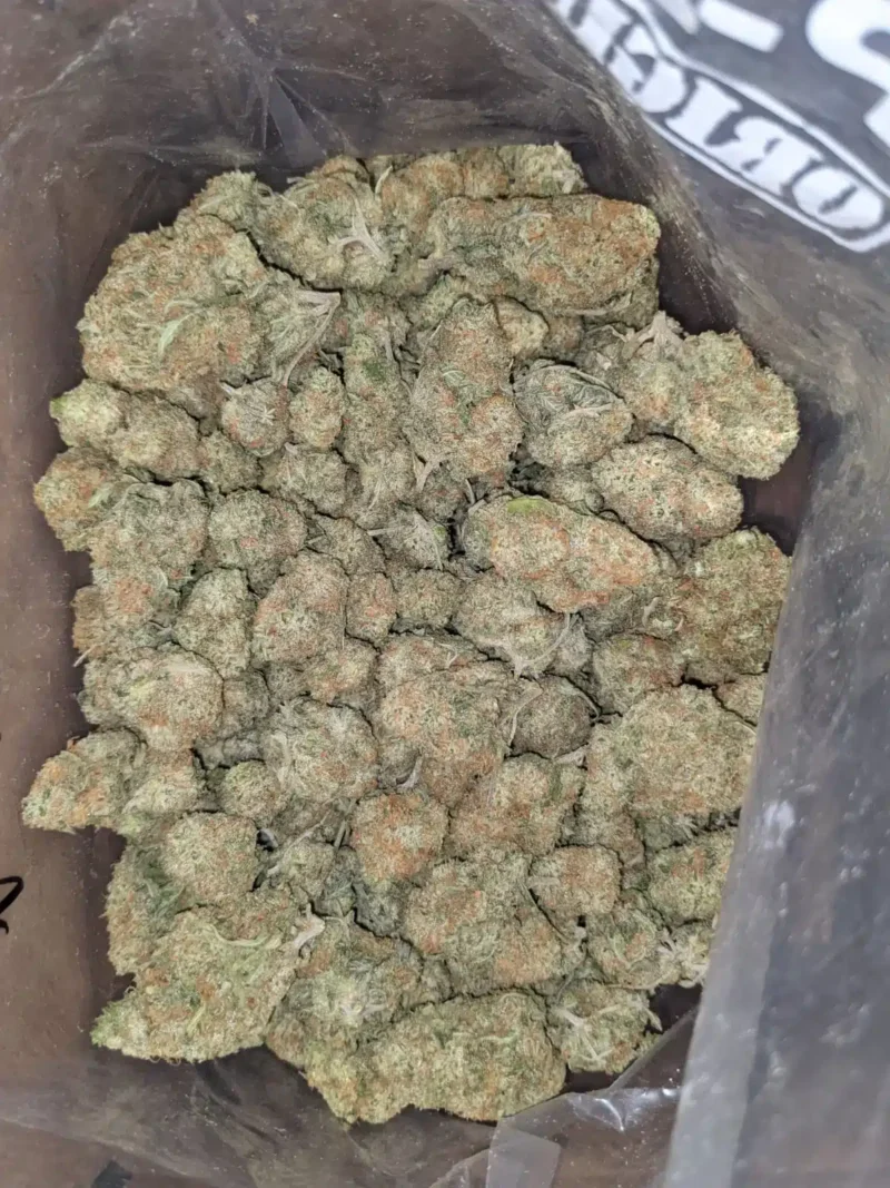 Cookie Wreck - Image 7
