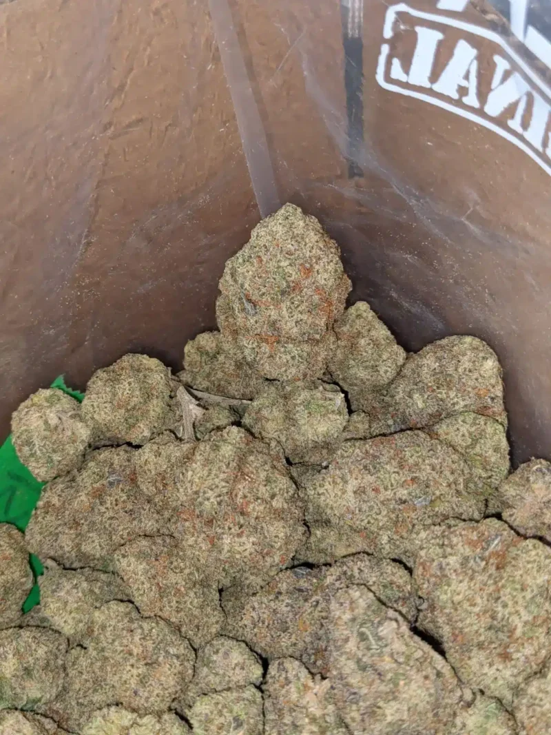Cookies & Cream - Image 5