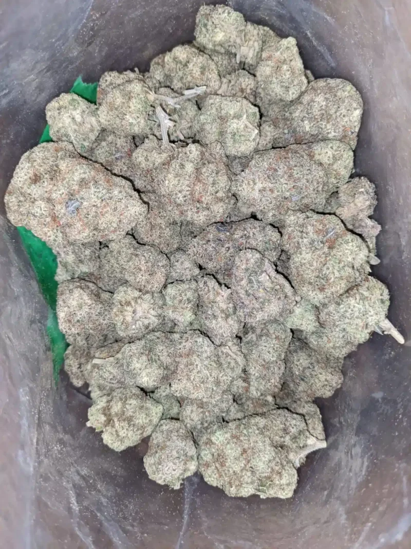 Cookies & Cream - Image 4