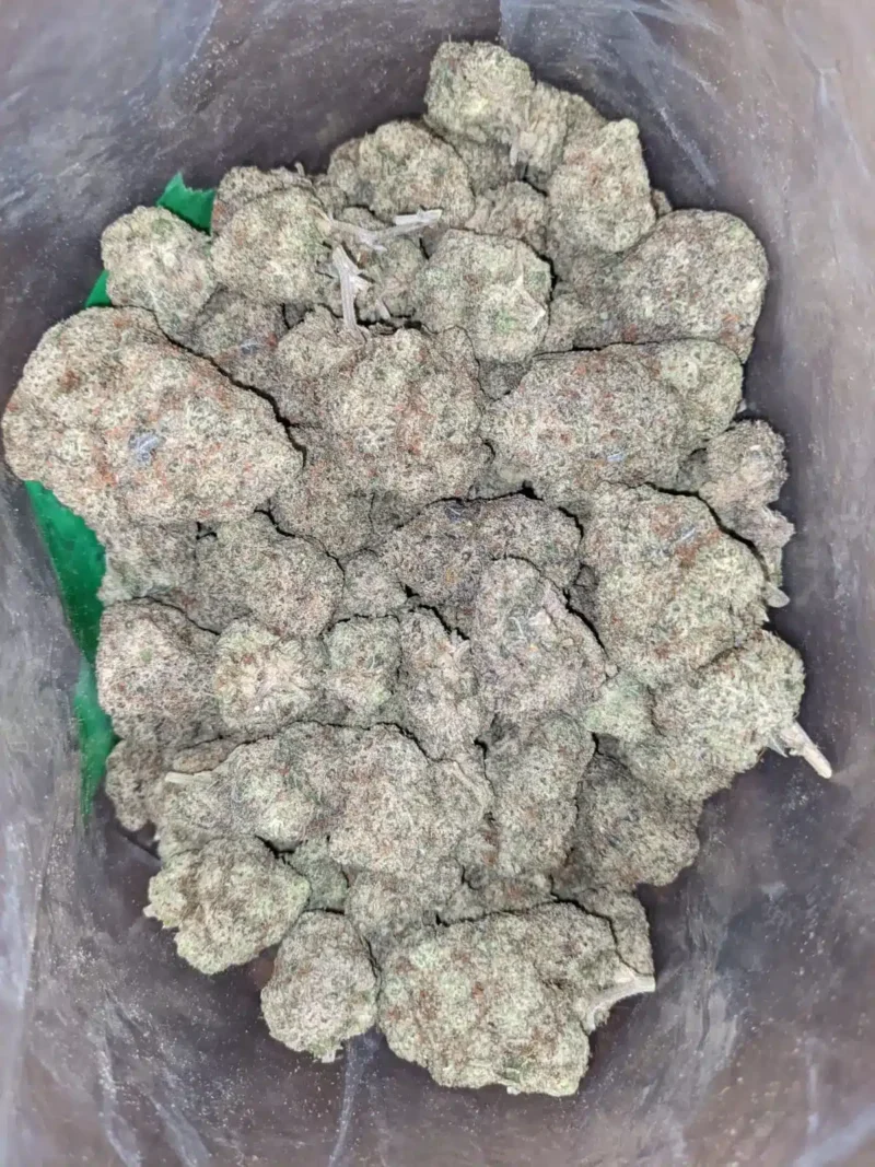 Cookies & Cream - Image 6