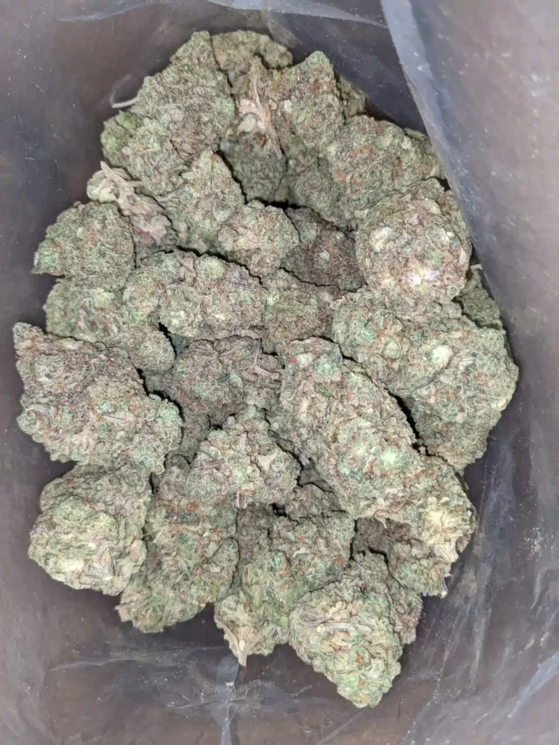 Alaskan Thunderfuck - Image 7