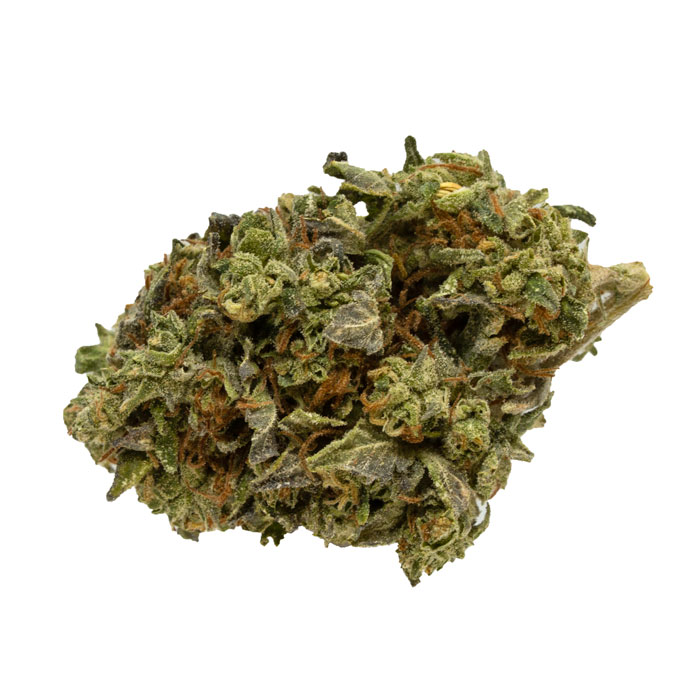 Critical Kush