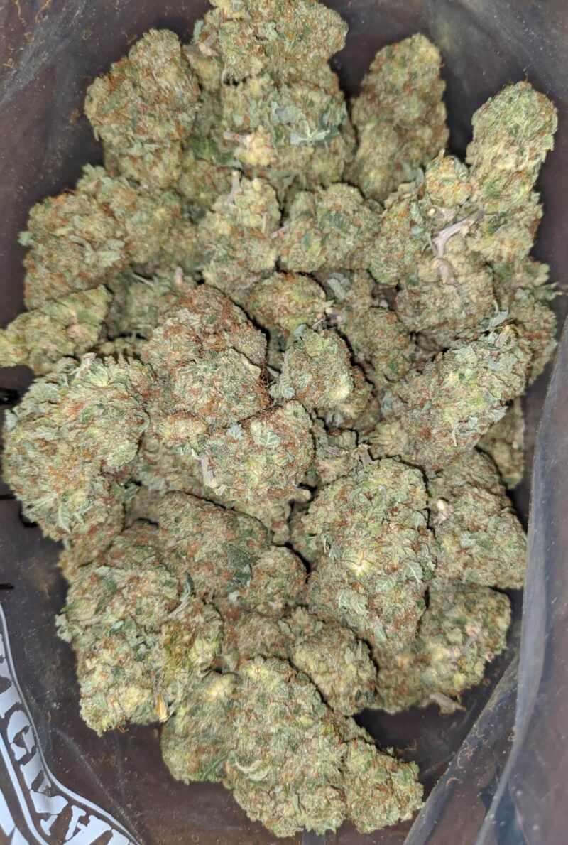 Critical Kush - Image 6