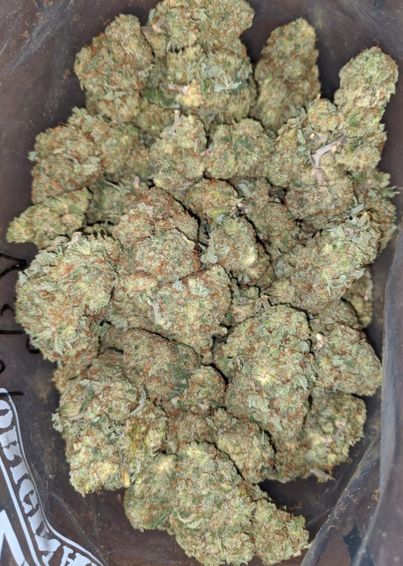 Critical Kush - Image 4