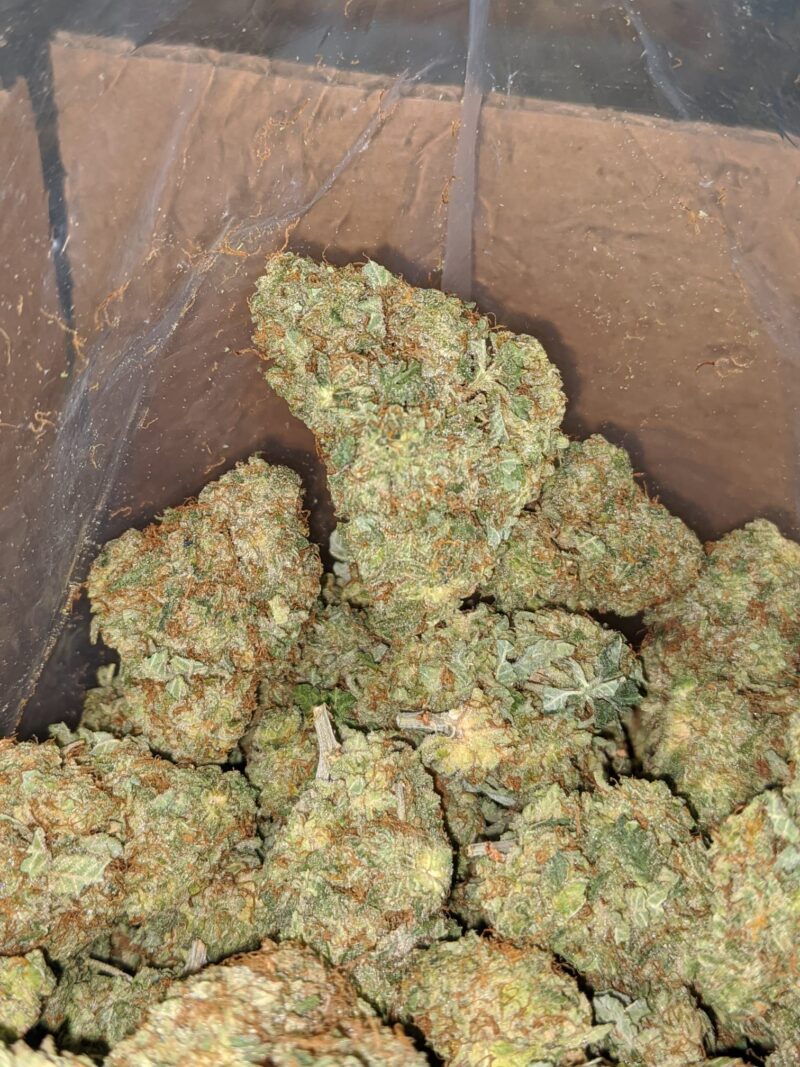 Critical Kush - Image 5