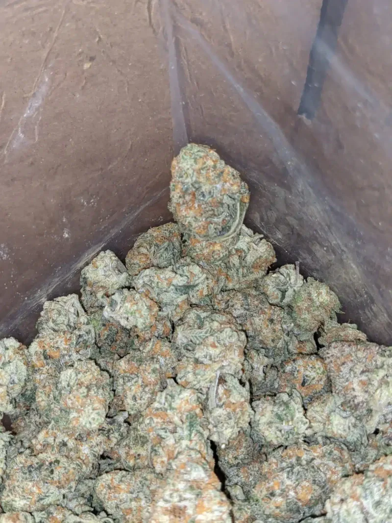 Crunchberries - Image 7