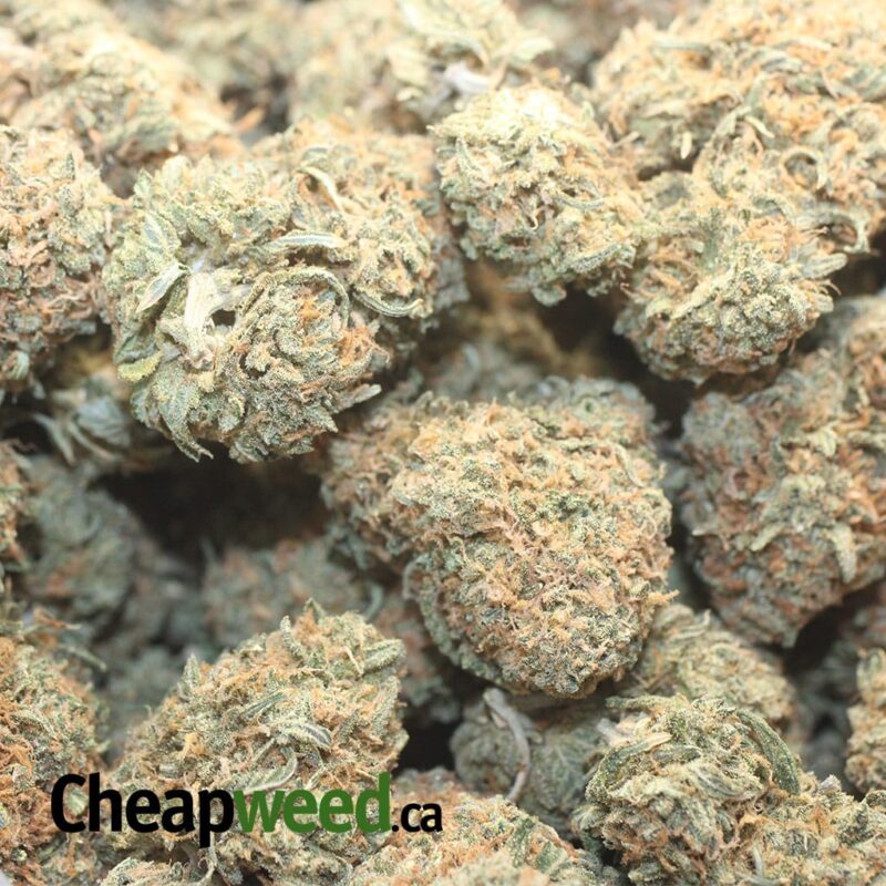 Dragon’s Breath - Image 3
