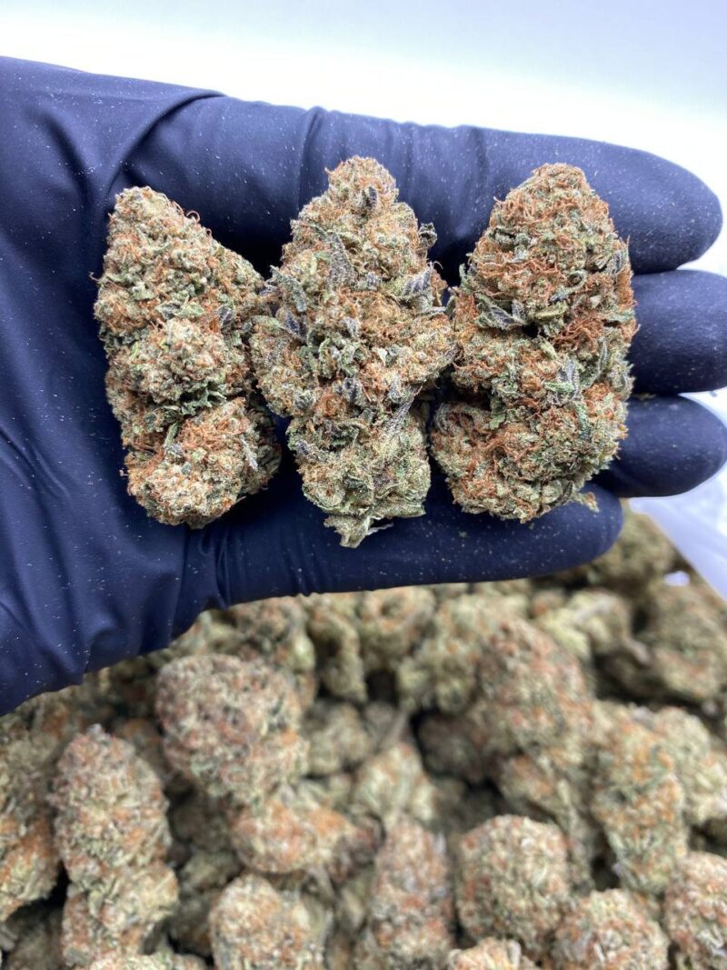 Hawaiian Punch