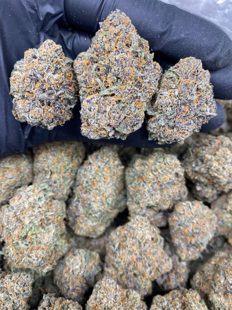 Black Cherry Gelato - Image 2
