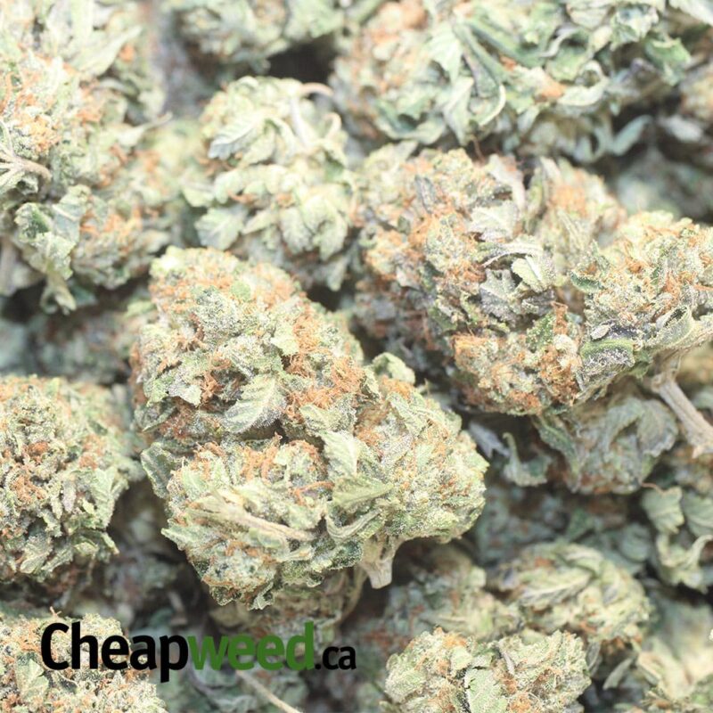 Death Star Bubba - Image 3