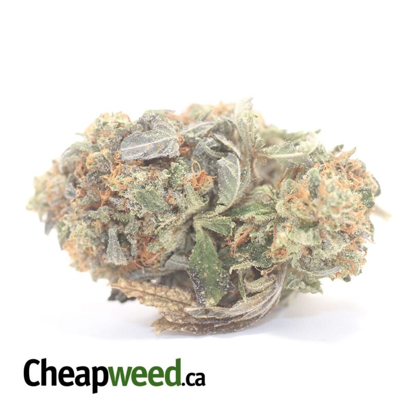 Death Star Bubba