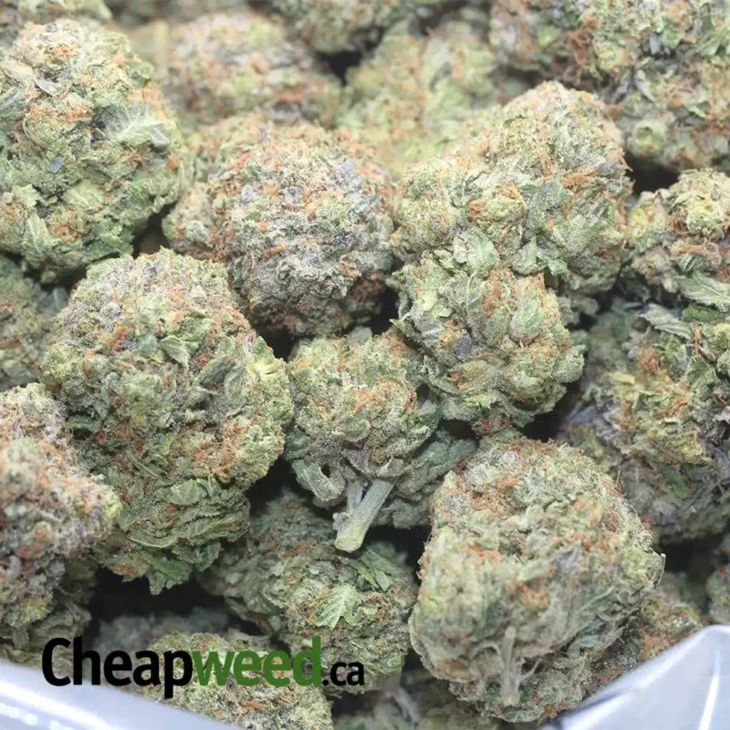 Death Bubba AAA - Image 3