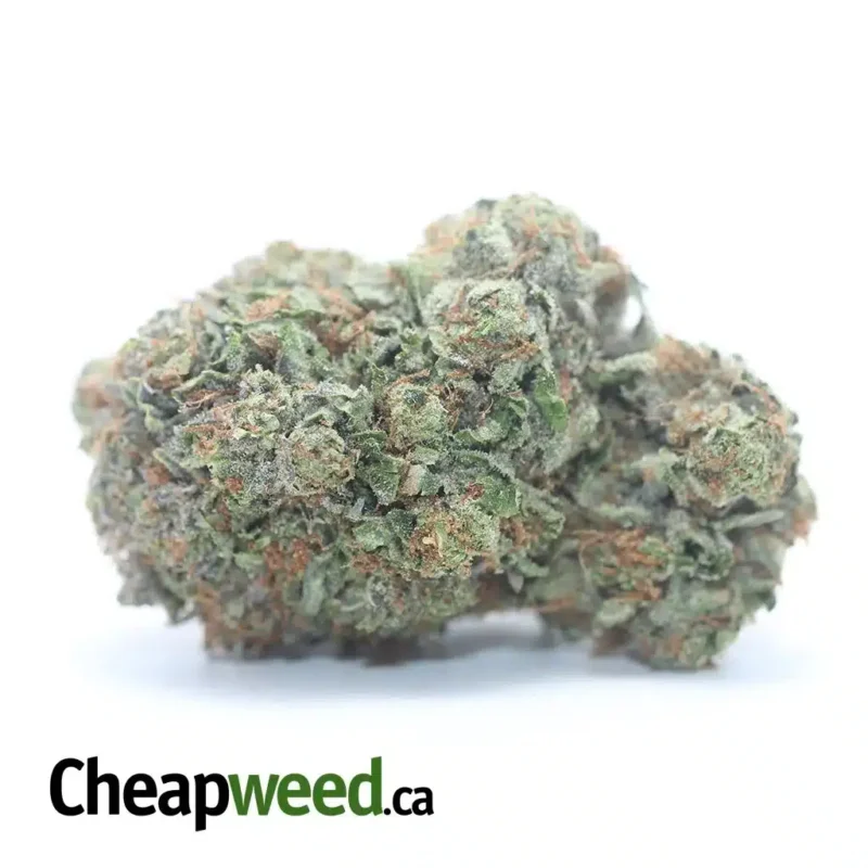 Death Bubba AAA