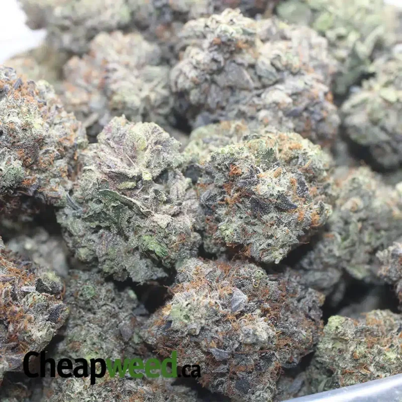 Death Bubba AAAA - Image 3
