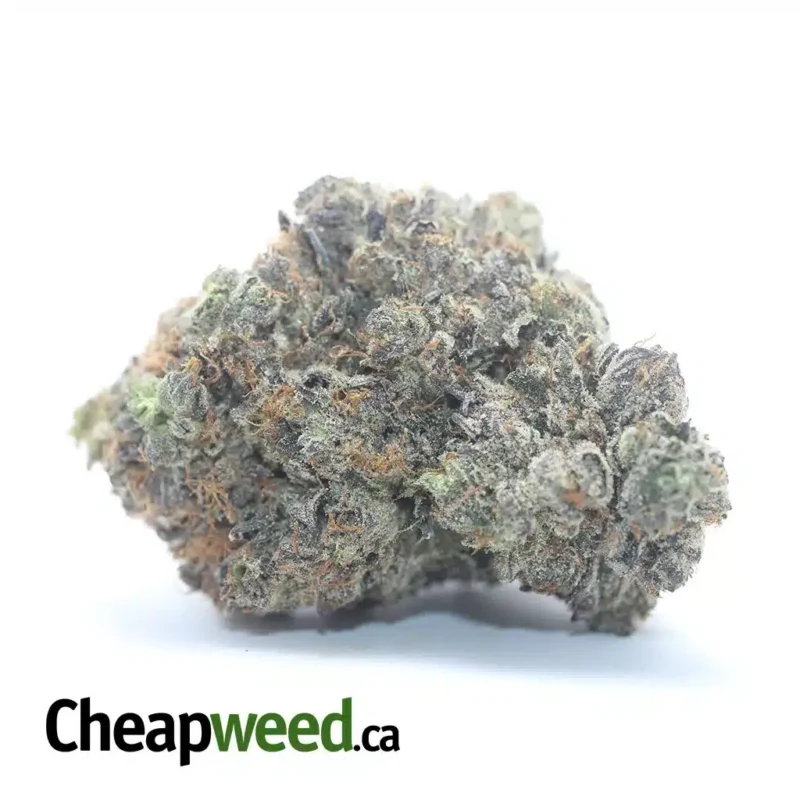 Death Bubba AAAA