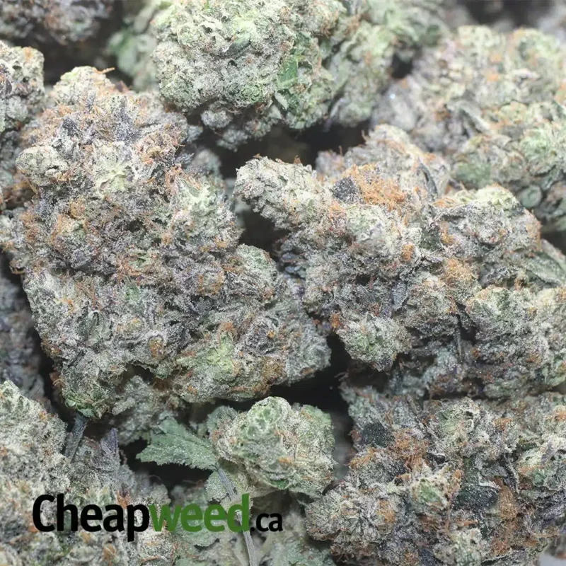 Death Star AAAA - Image 3