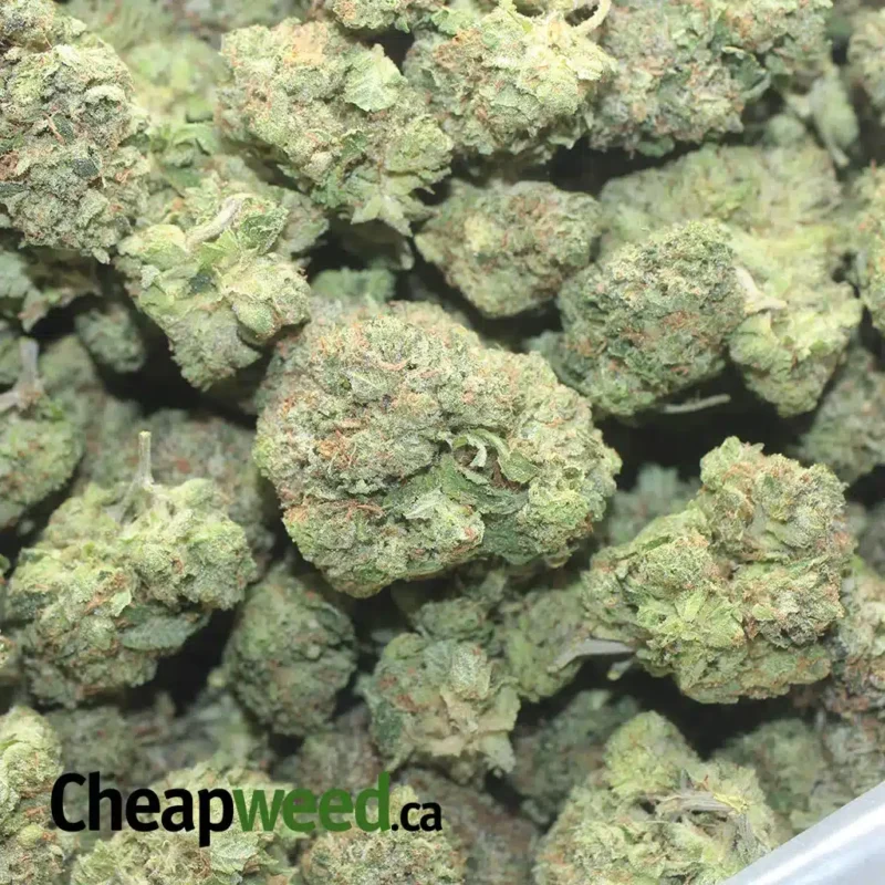 Death Star - Image 3