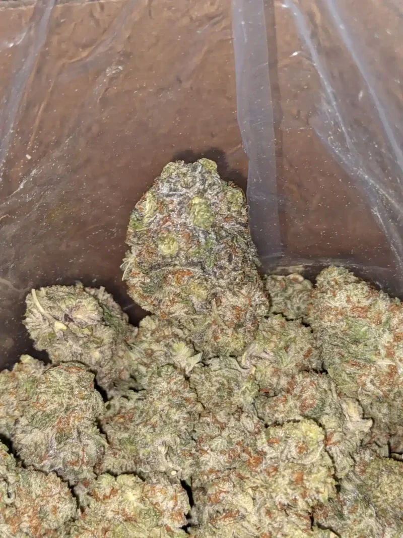 Diesel OG - Image 5
