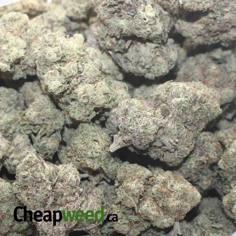 Donkey Butter - Image 3