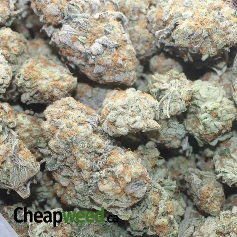 Double OG - Image 3