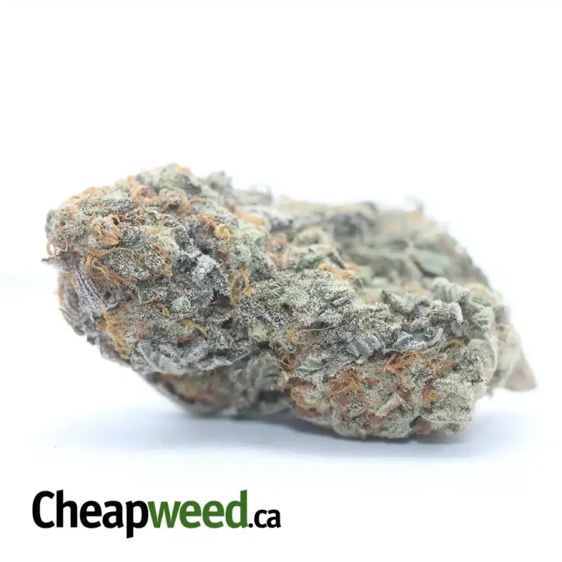Double OG