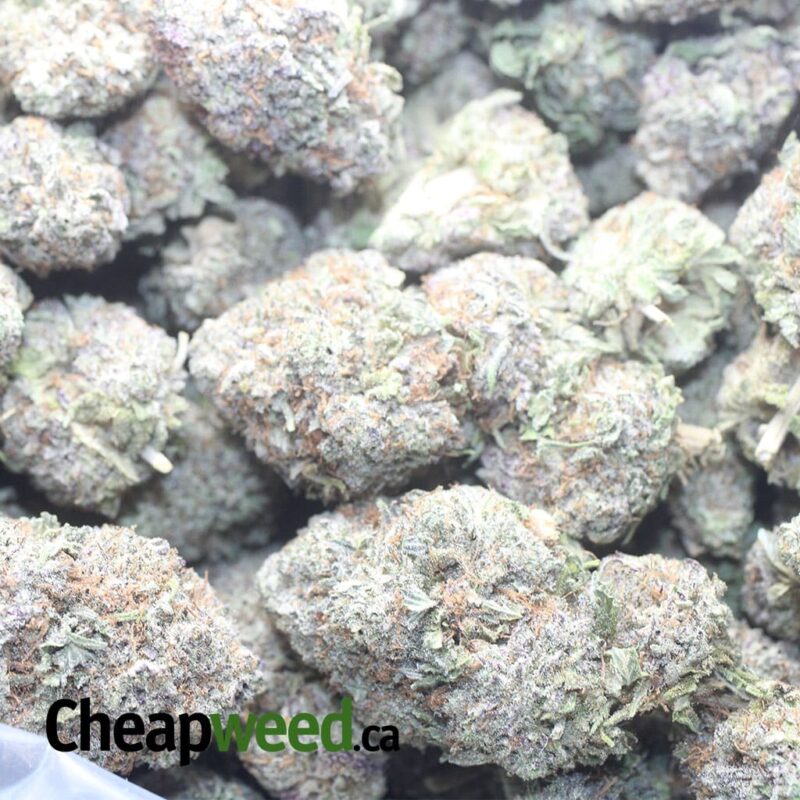 Durban Poison - Image 3
