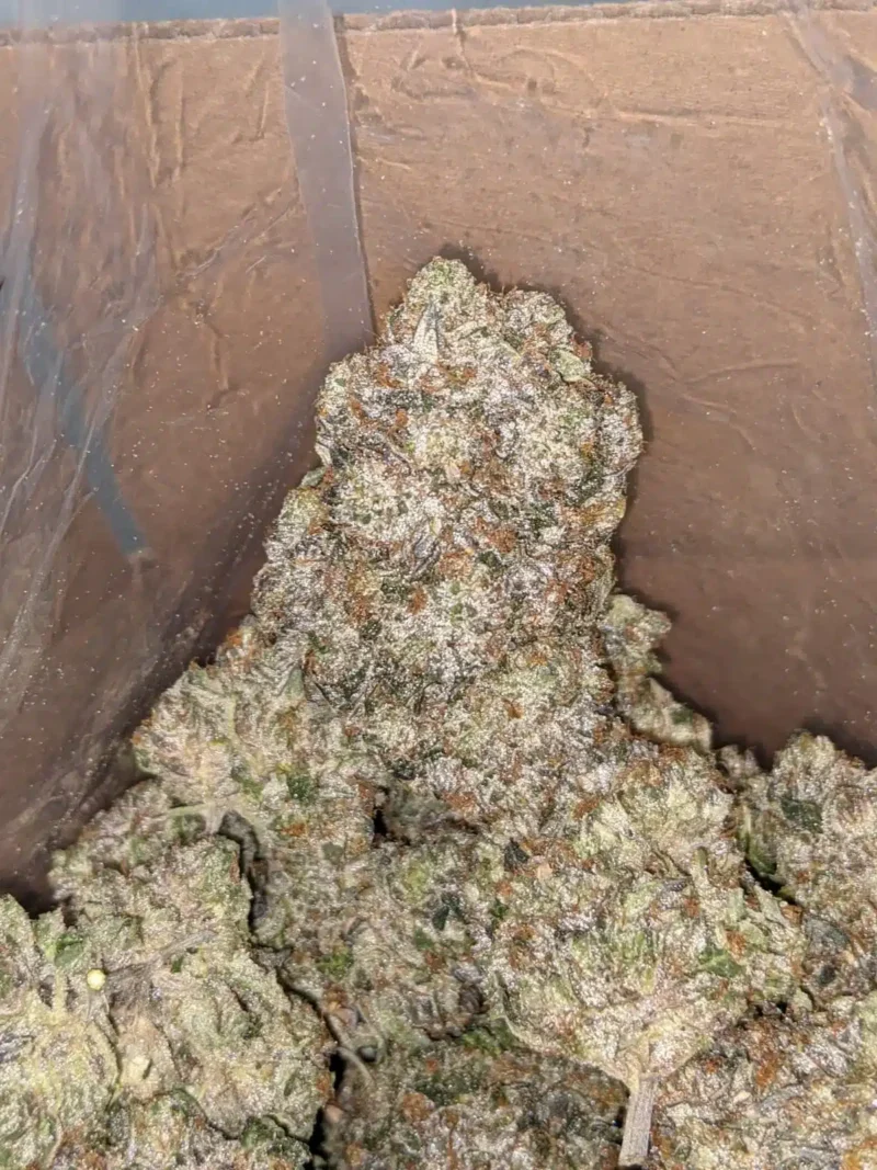 Darth Vader - Image 6
