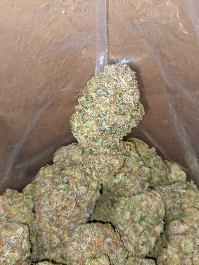 Death Bubba AAA - Image 5