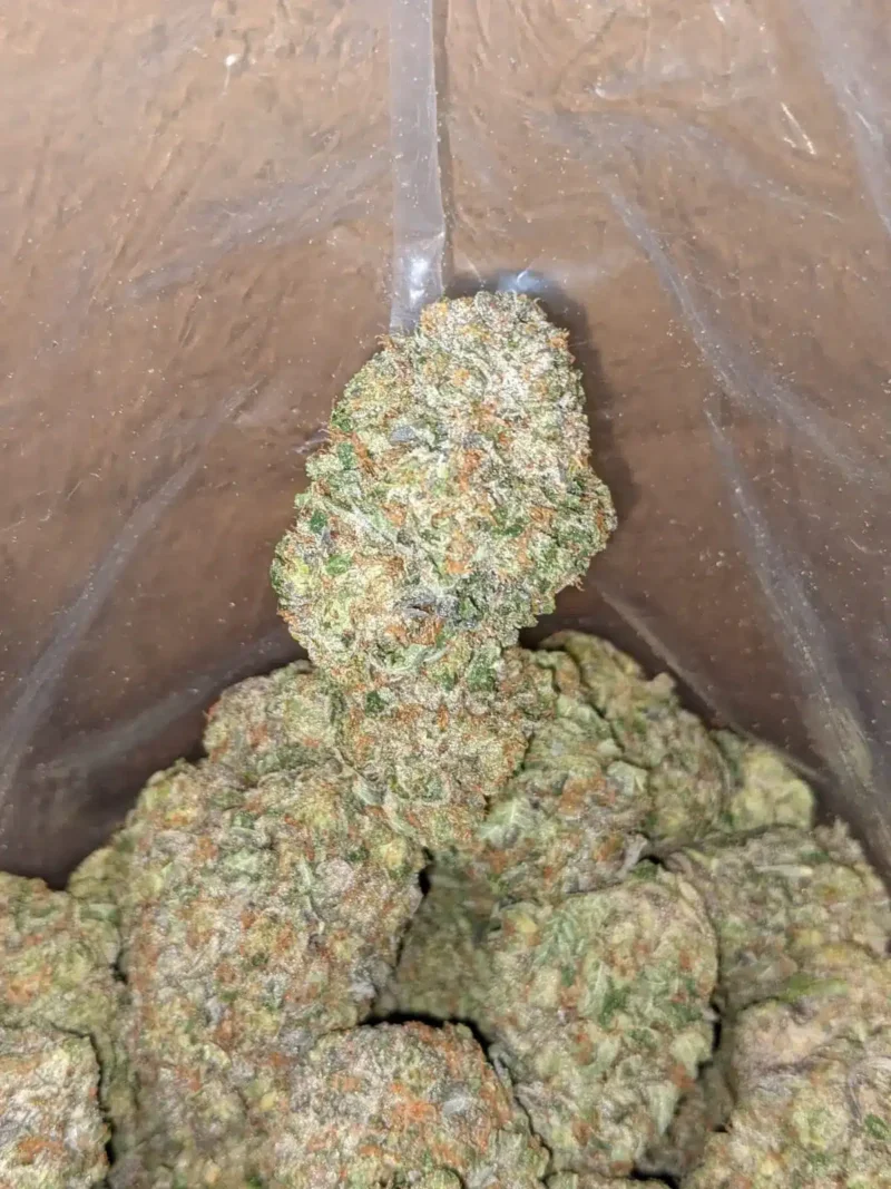 Death Bubba AAA - Image 7