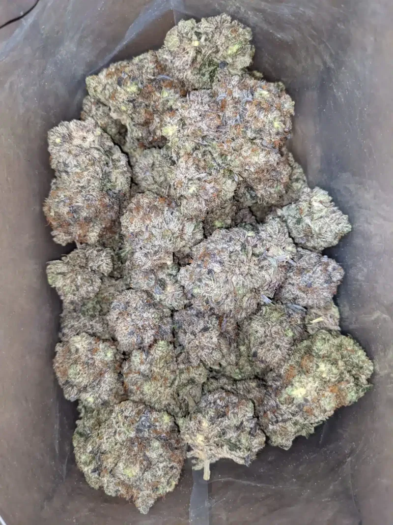 Death Bubba AAAA - Image 4