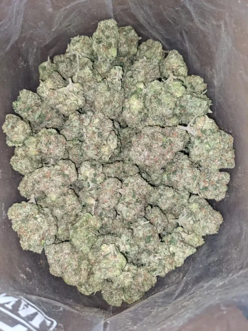 Death Star - Image 5