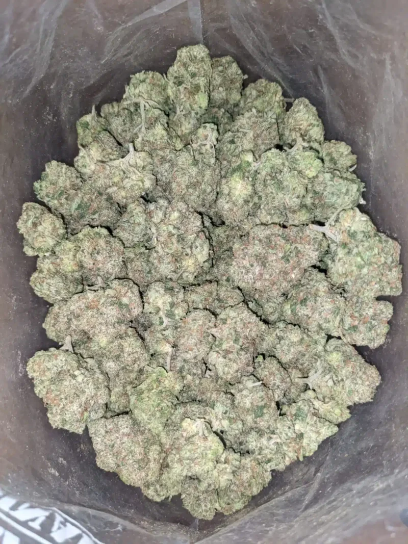 Death Star - Image 4