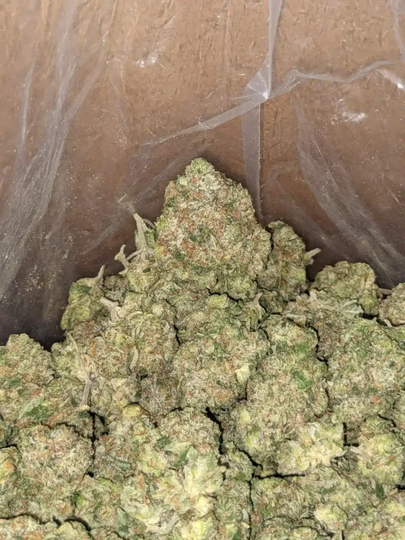Death Star - Image 7