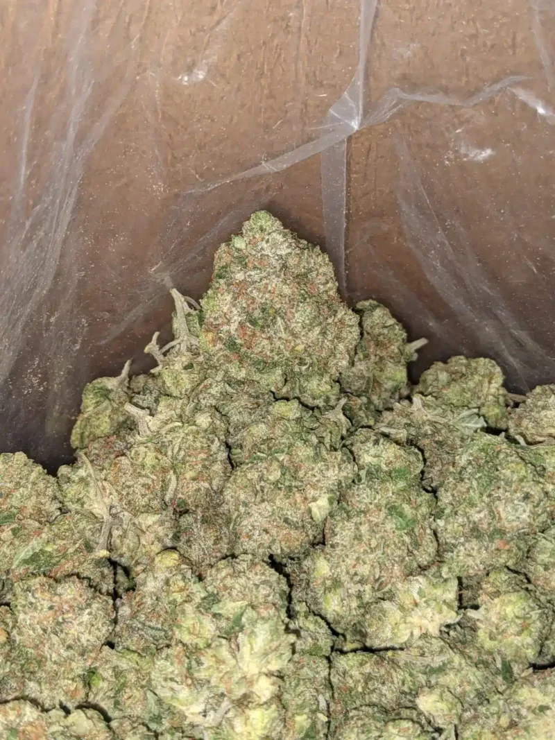 Death Star - Image 6