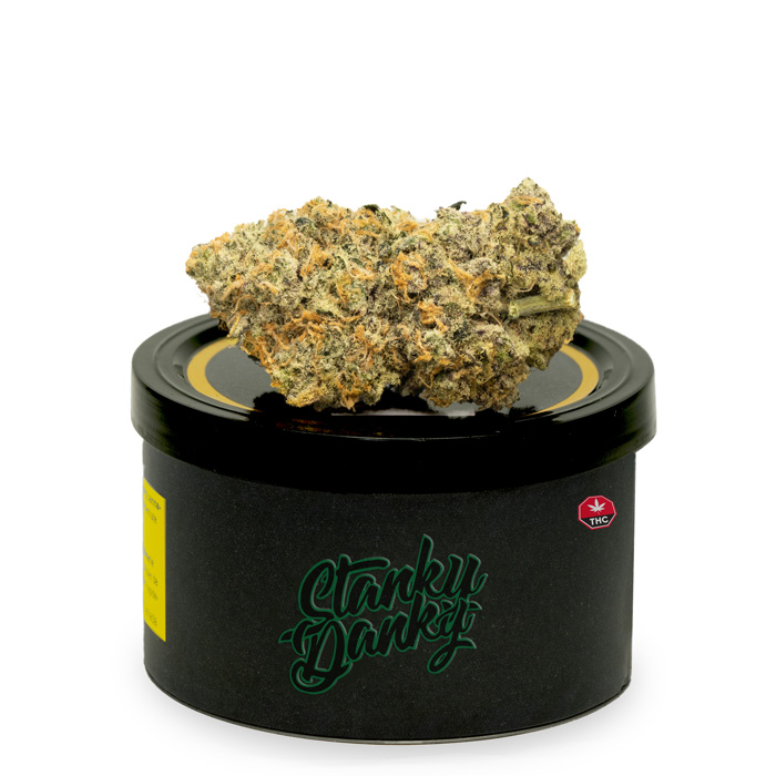 Deluxe Sugar Cane – By Stanky Danky