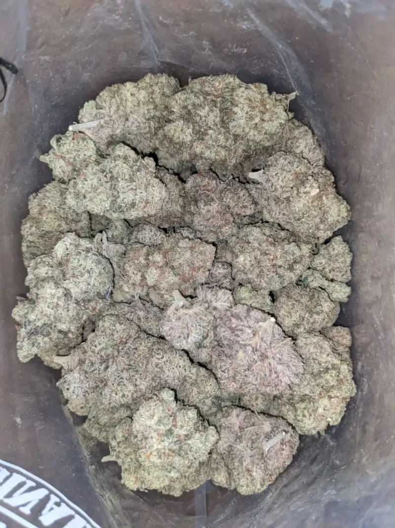 Donkey Butter - Image 4