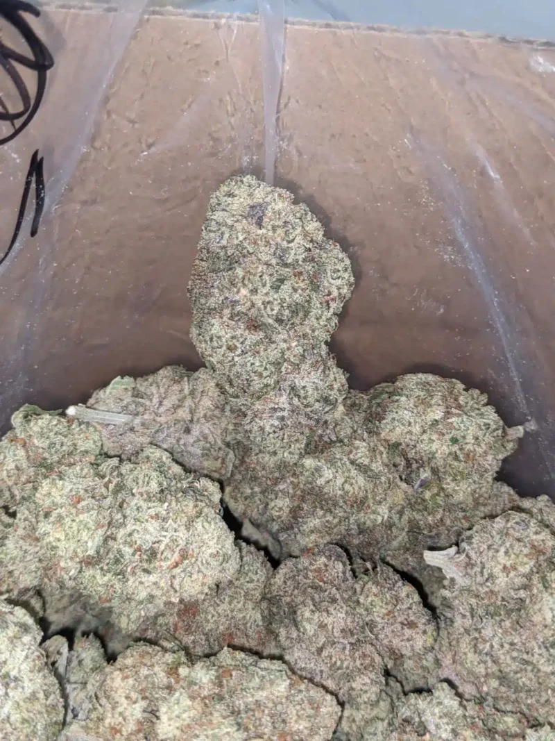 Donkey Butter - Image 6