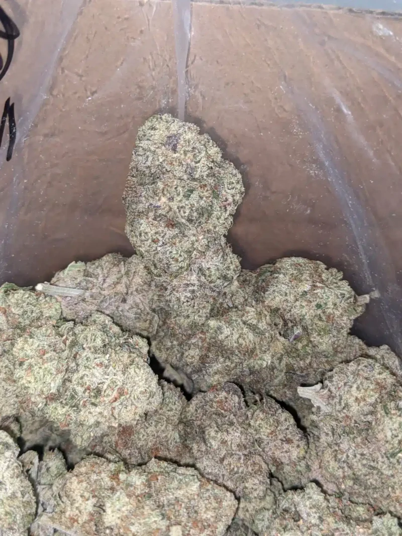 Donkey Butter - Image 7