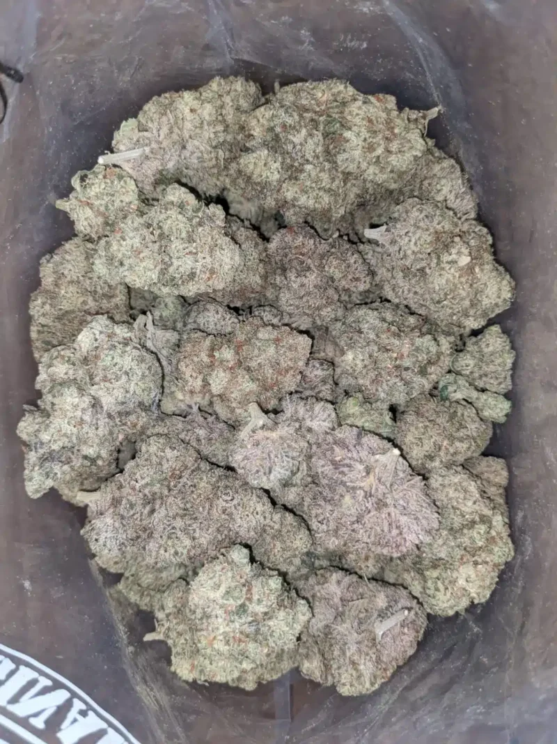 Donkey Butter - Image 5