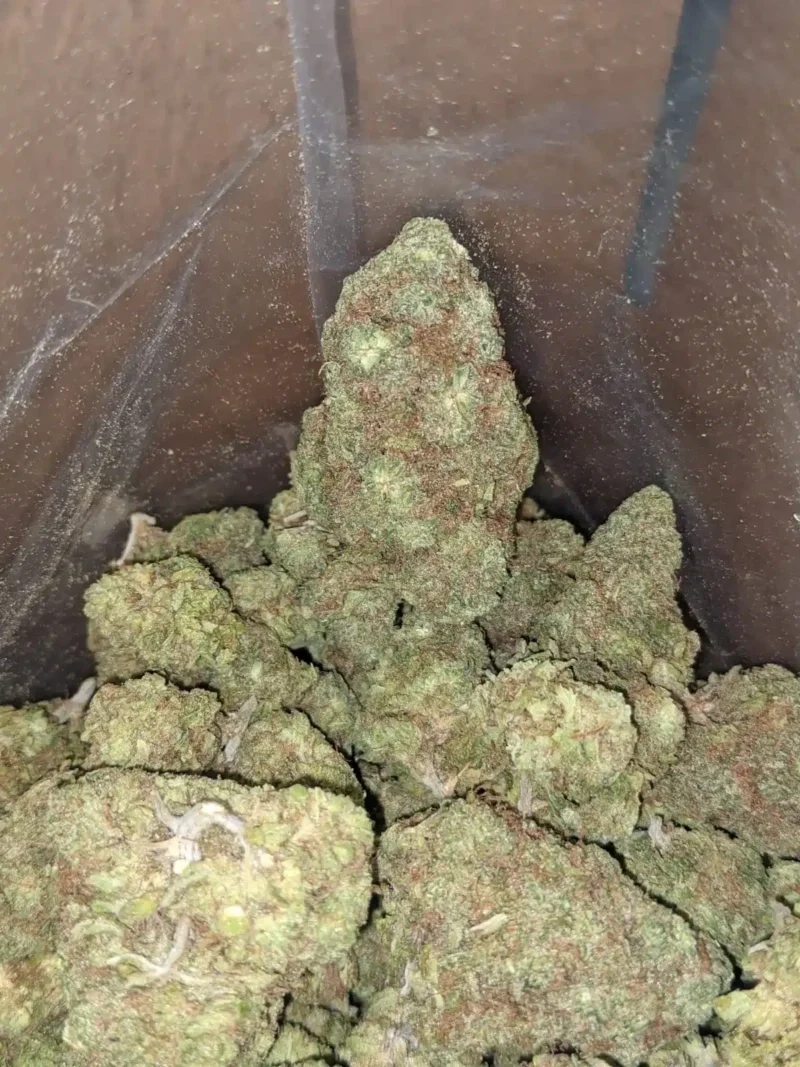 Do Si Dos - Image 6