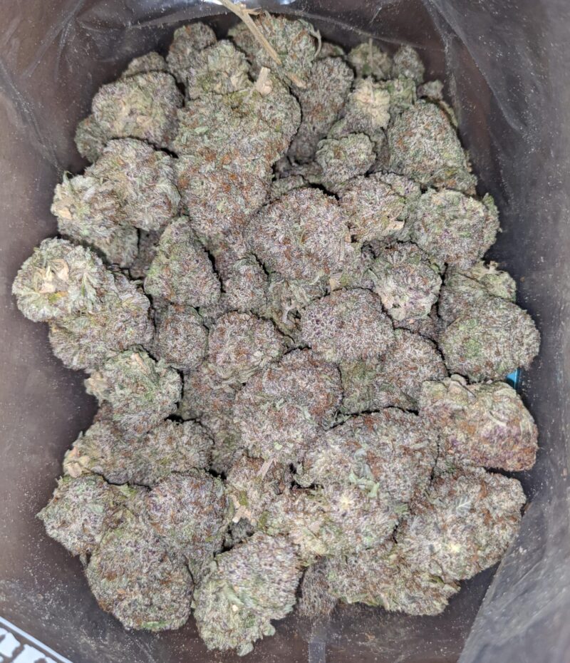 Durban Poison - Image 4