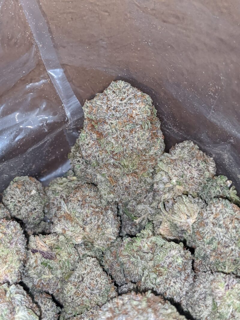 Durban Poison - Image 6