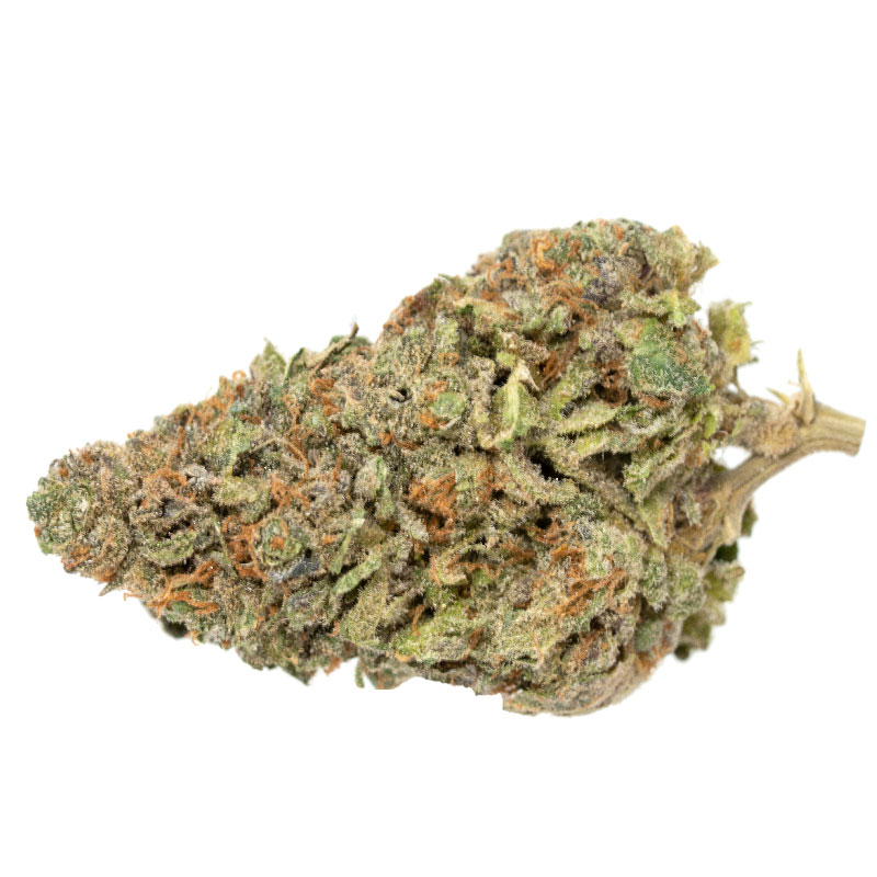 Dutch Treat