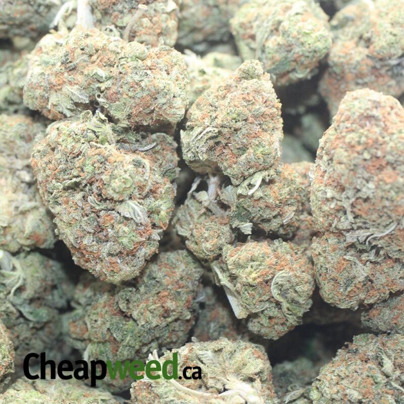 Earth OG - Image 3
