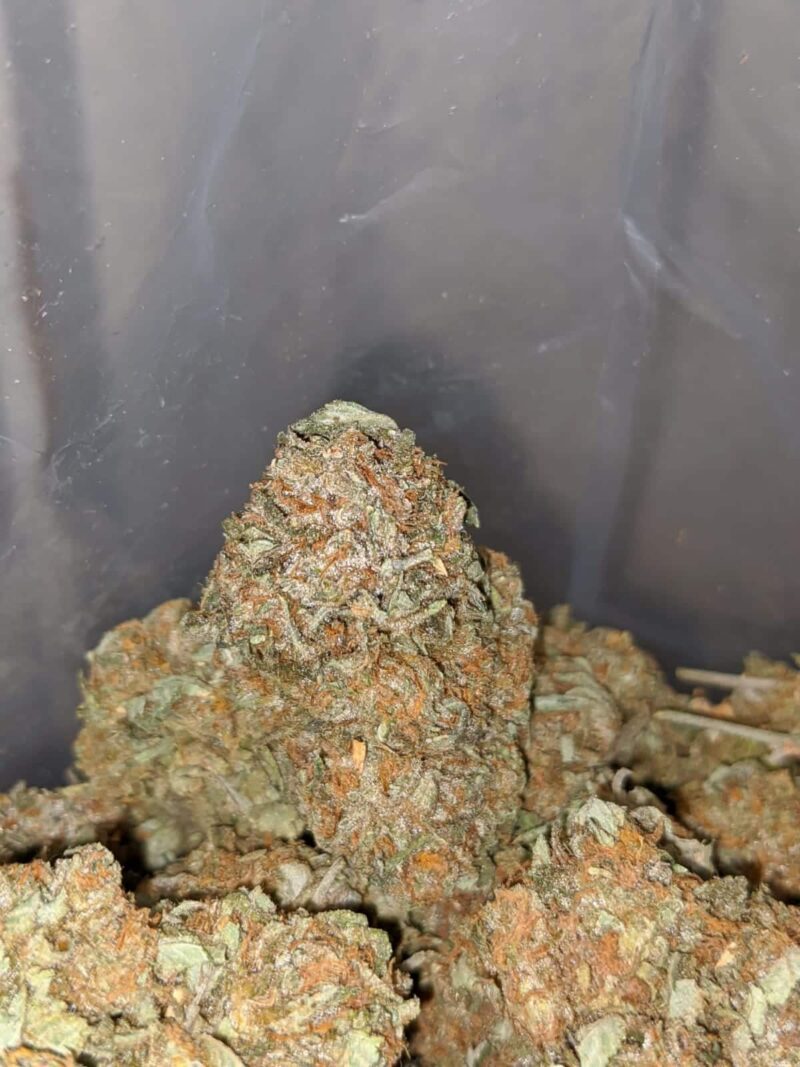 East Coast Sour Diesel - Image 4