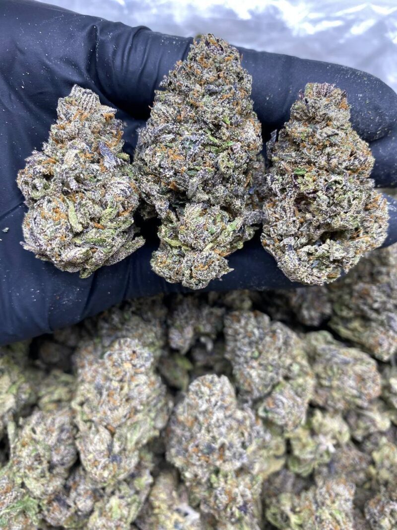 Girl Scout Cookies