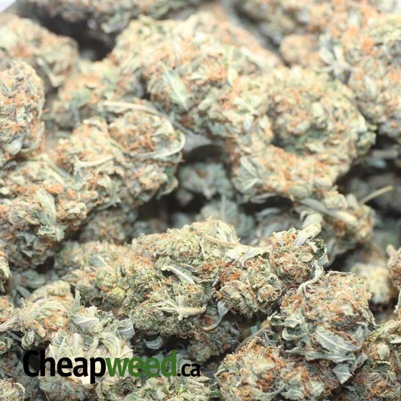 Emma’s Bubba Kush - Image 3