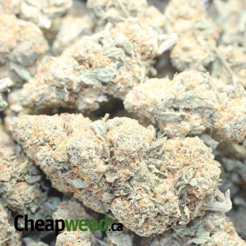 Emma’s Crunchberry - Image 3