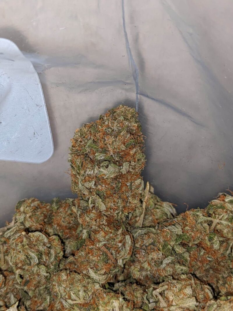Emma’s Bubba Kush - Image 4