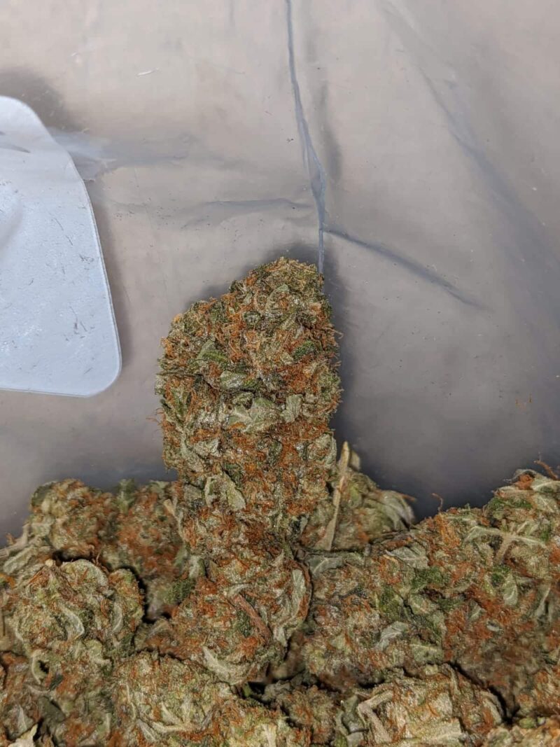 Emma’s Bubba Kush - Image 7